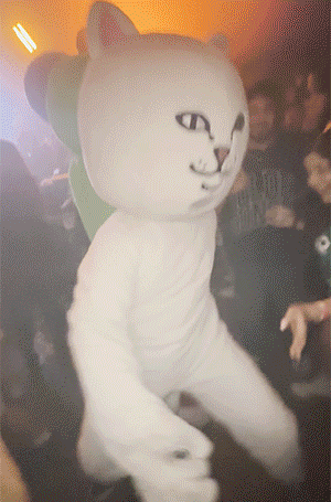 ripndip afters