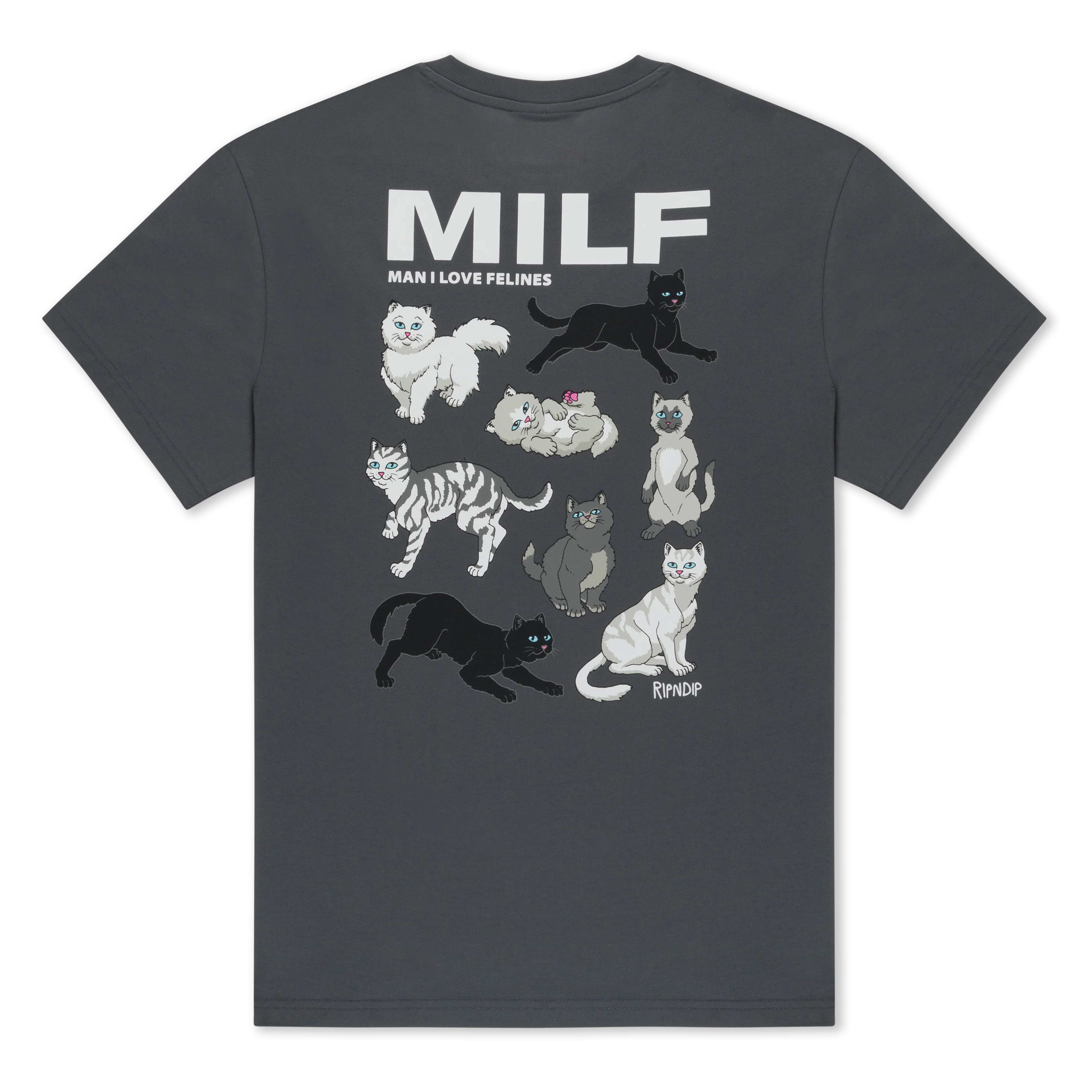 Image of Man I Love Felines Tee (Charcoal)