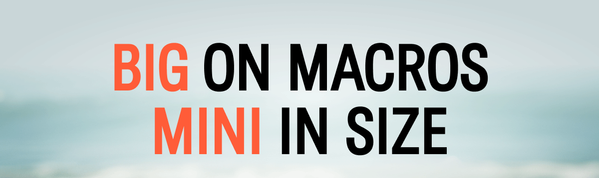 BIG on Macros Mini in Size