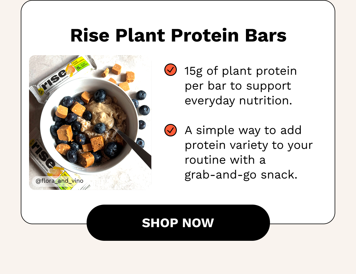 Rise Plant Protein Bars