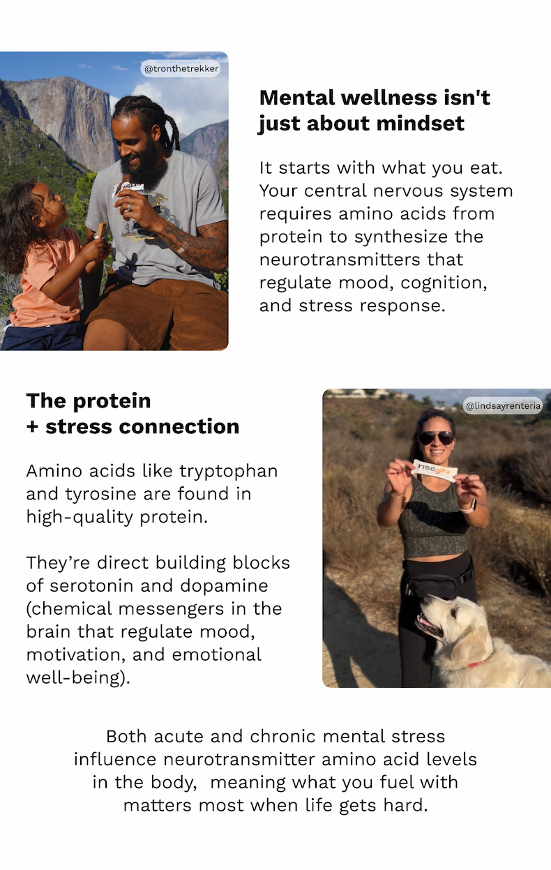 Mental wellness isn't just about mindset | The protein + stress connection