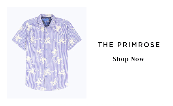 The Primrose Shop Now 