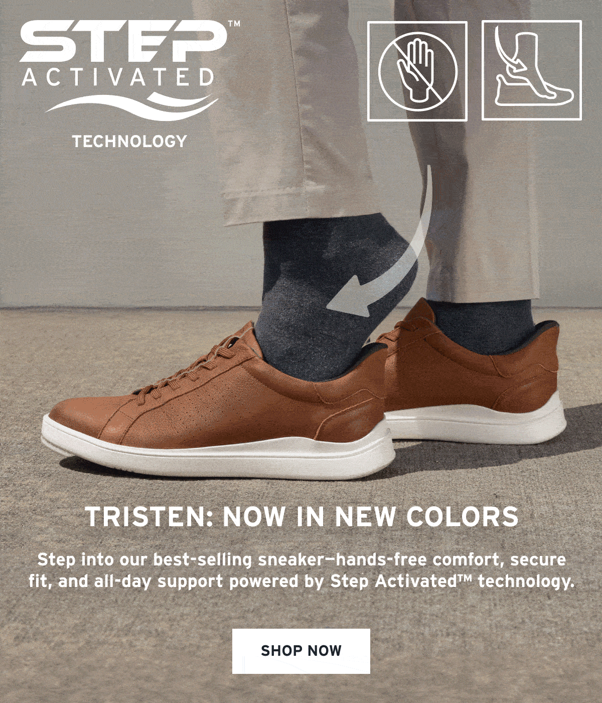 Our Top-Rated Tristen