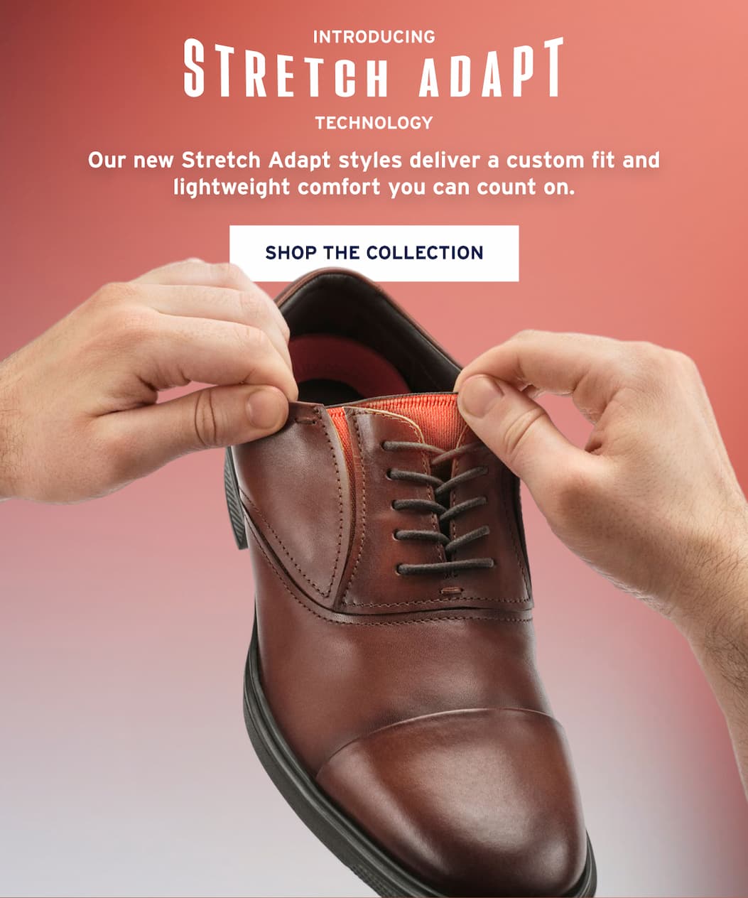 [SHOP THE COLLECTION]