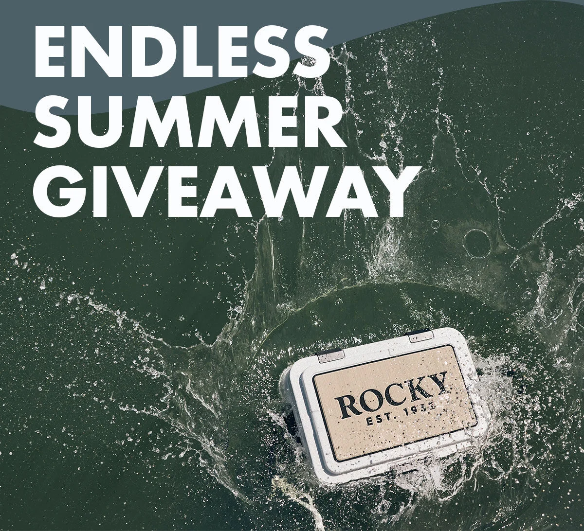 endless summer giveaway