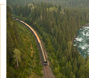 Rainforest to Gold Rush Classic