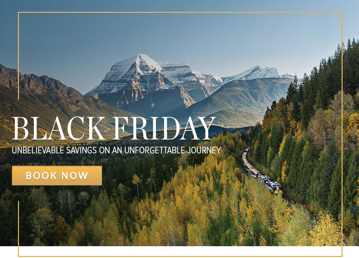 Black Friday. Book Now.