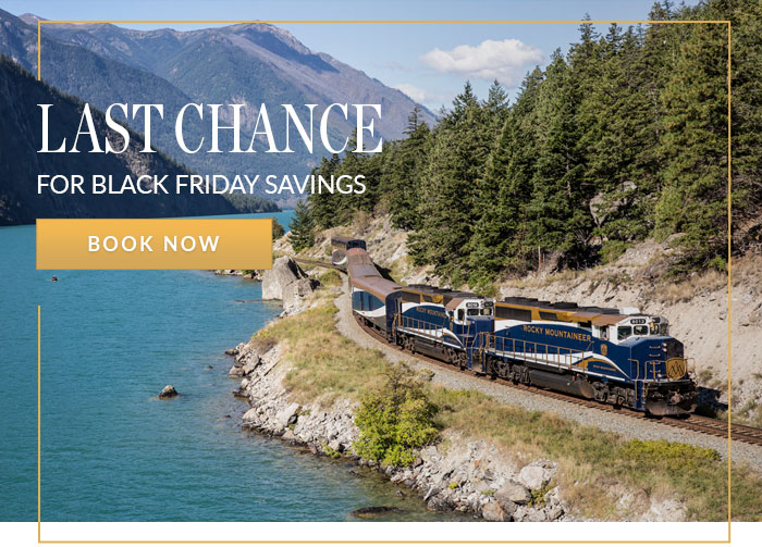 Last Chance for Black Friday Savings