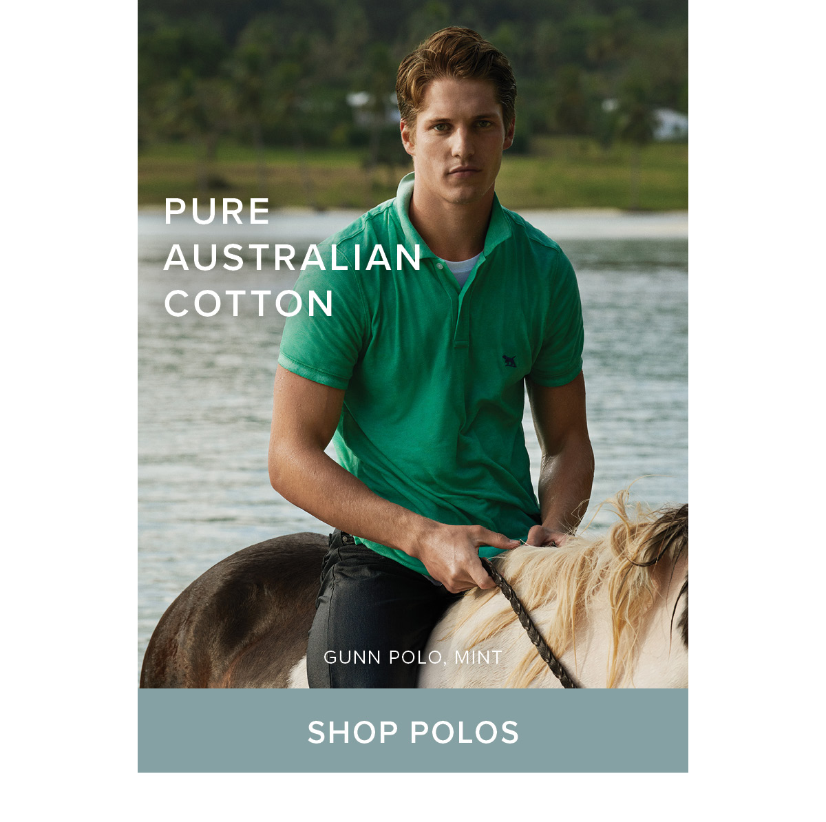 Shop Polos - Online and instore at Rodd & Gunn