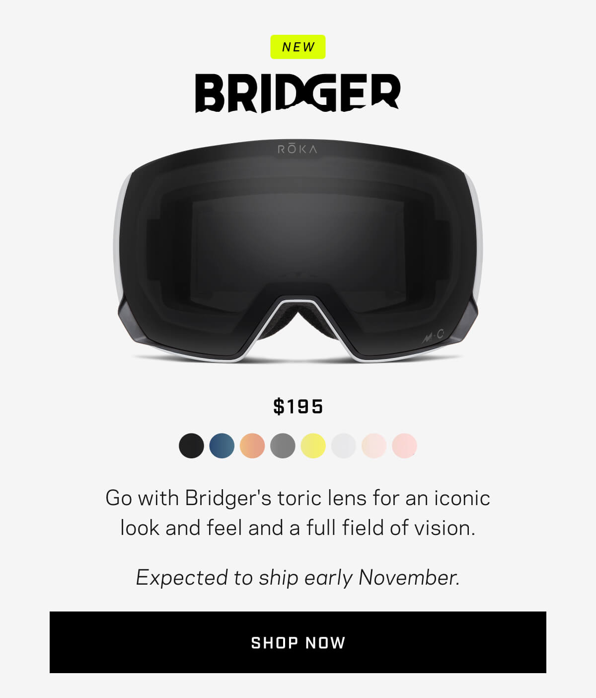 Shop Bridger Snow Goggle