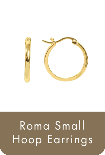 Roma Small Hoop Earrings