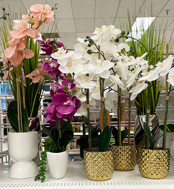 White, pink and purple faux orchids found in store at Ross.