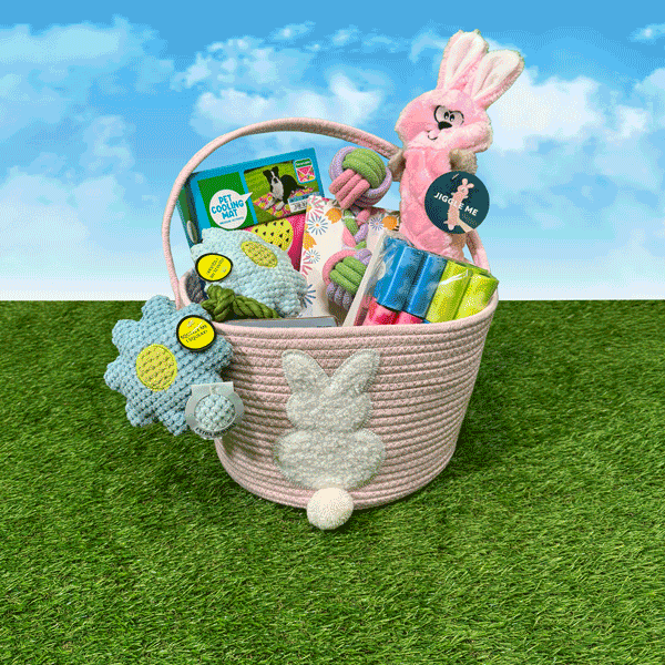 Easter baskets filled with gifts and toys for pet, girl and boy on faux grass.  