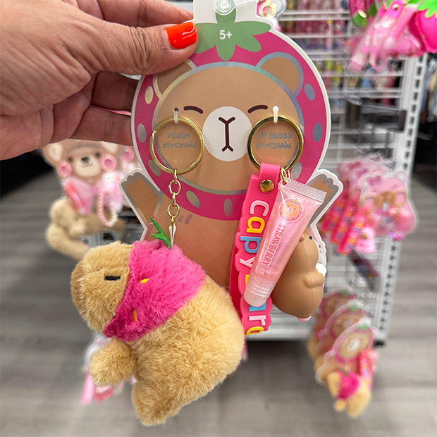 Capybara charm pack found in store at Ross.  