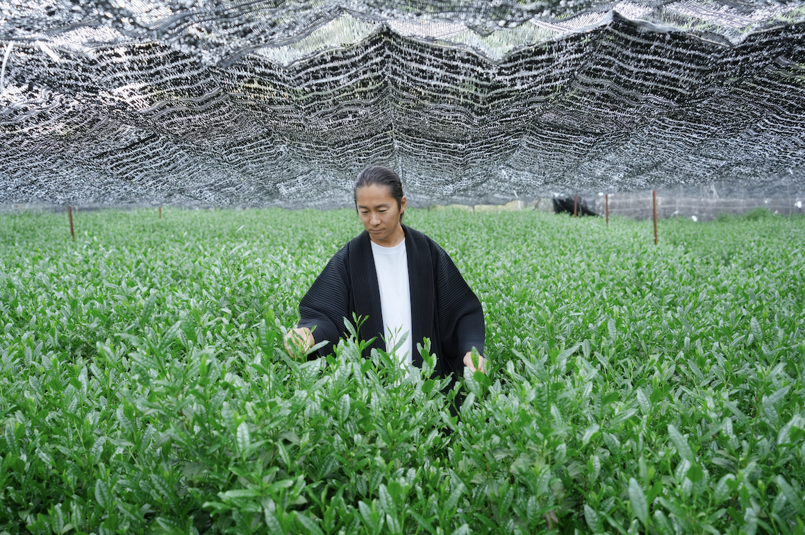 The Art of Fermentation in Japan