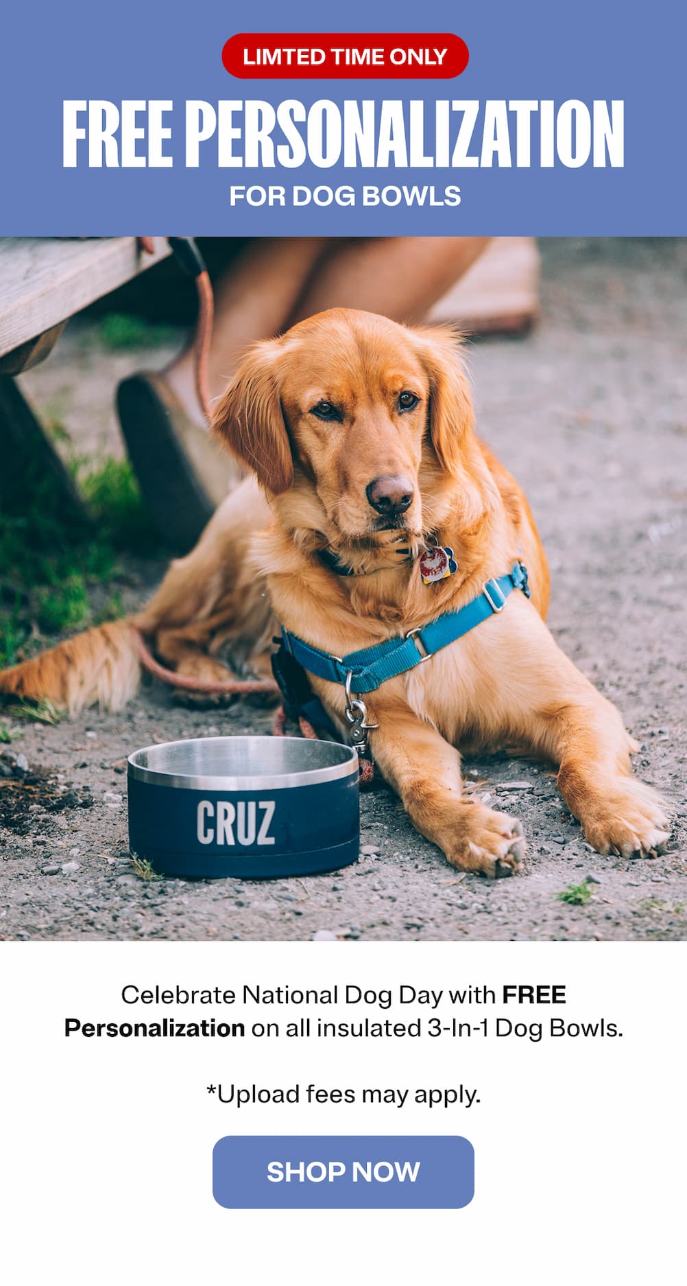 Free Personalization for Dog Bowls