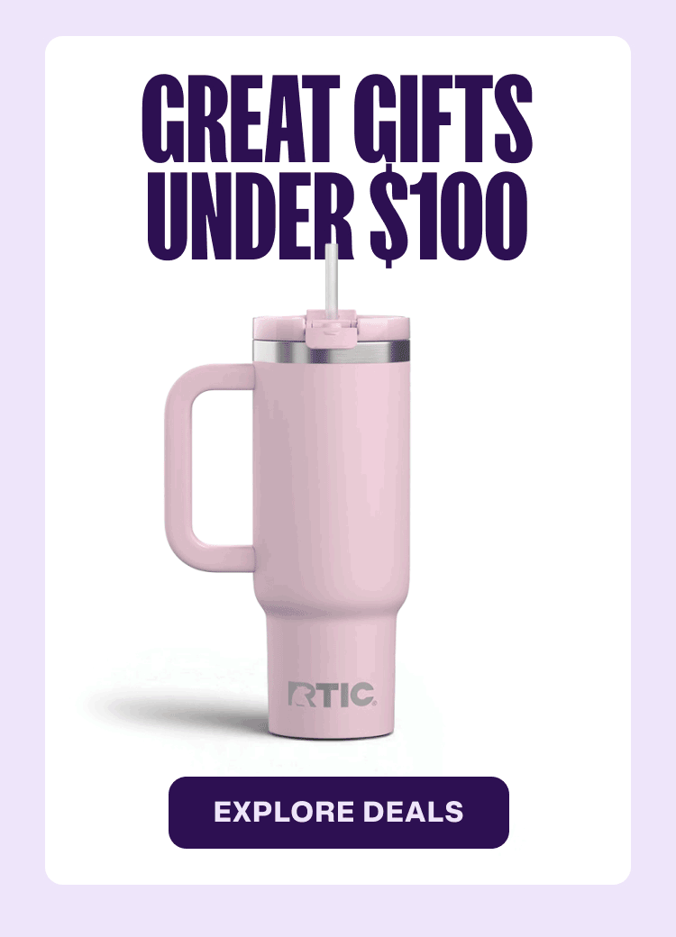 Great gifts under $100