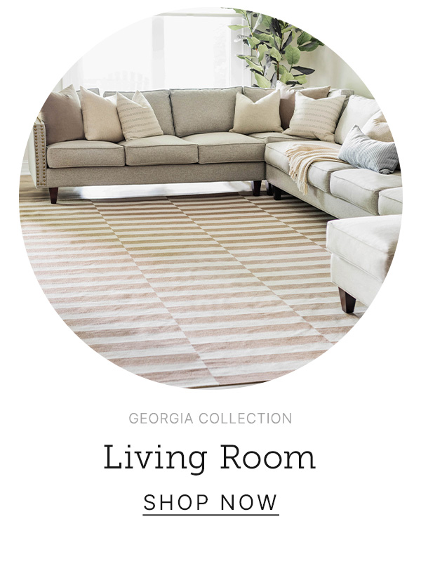 Living Room Rugs