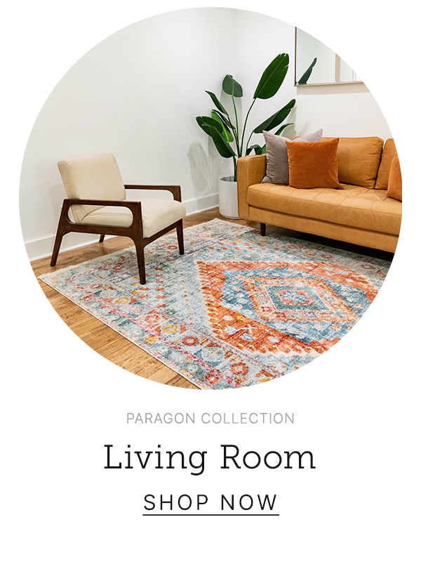 Living Room Rugs