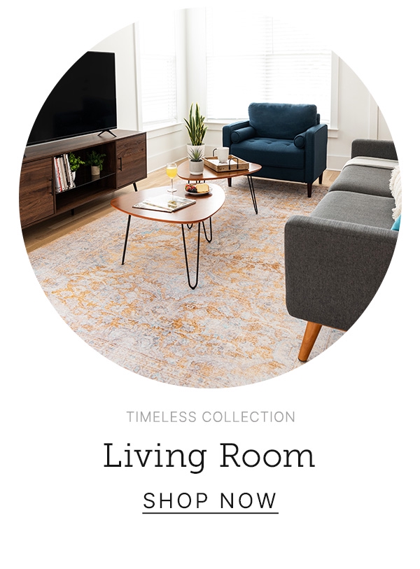 Living Room Rugs