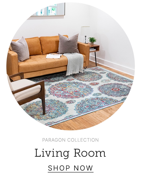 Living Room Rugs