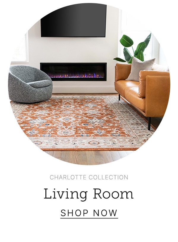 Living Room Rugs