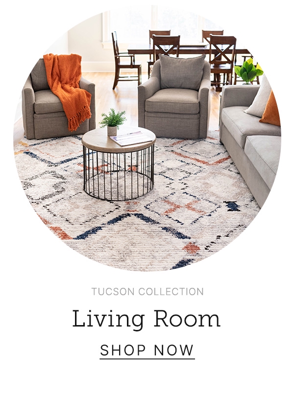 Living Room Rugs