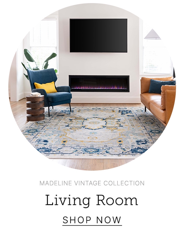 Living Room Rugs
