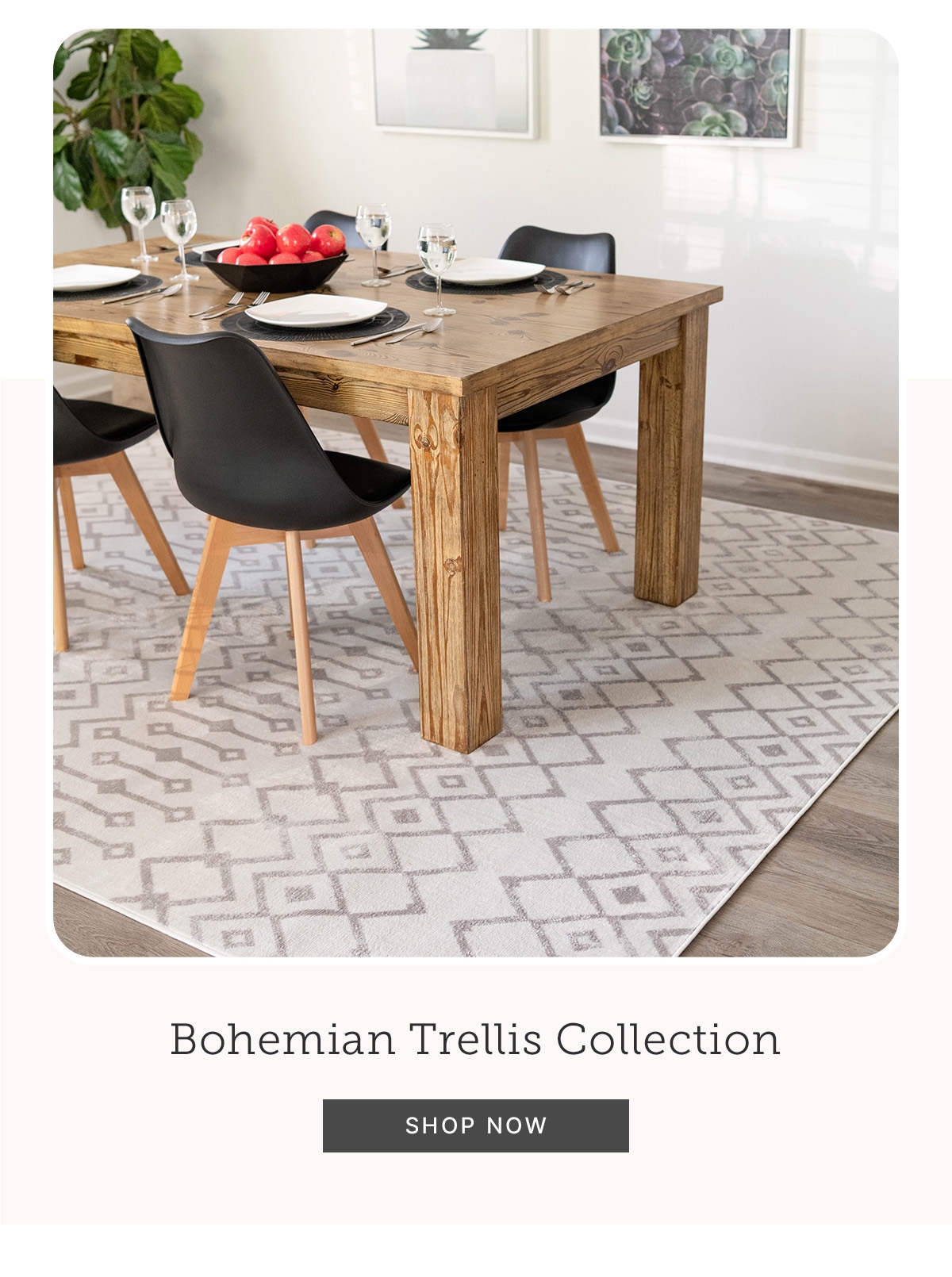 Bohemian Trellis Collection