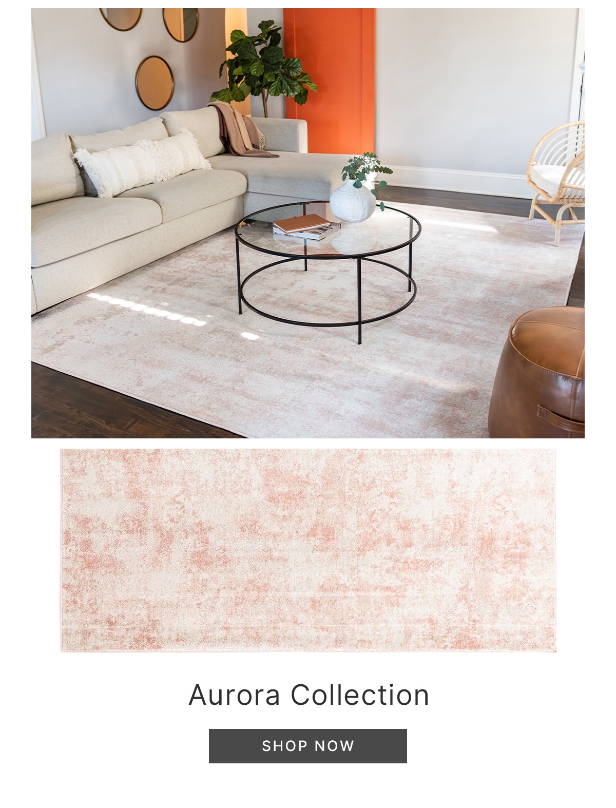 Aurora Collection