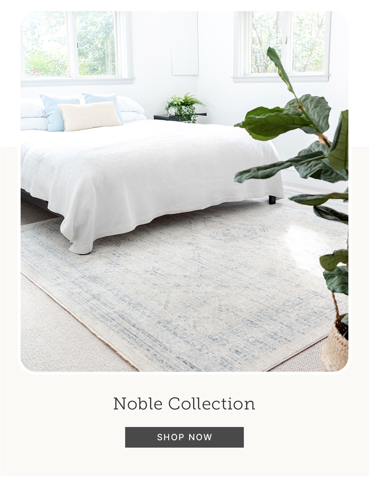 Noble Collection