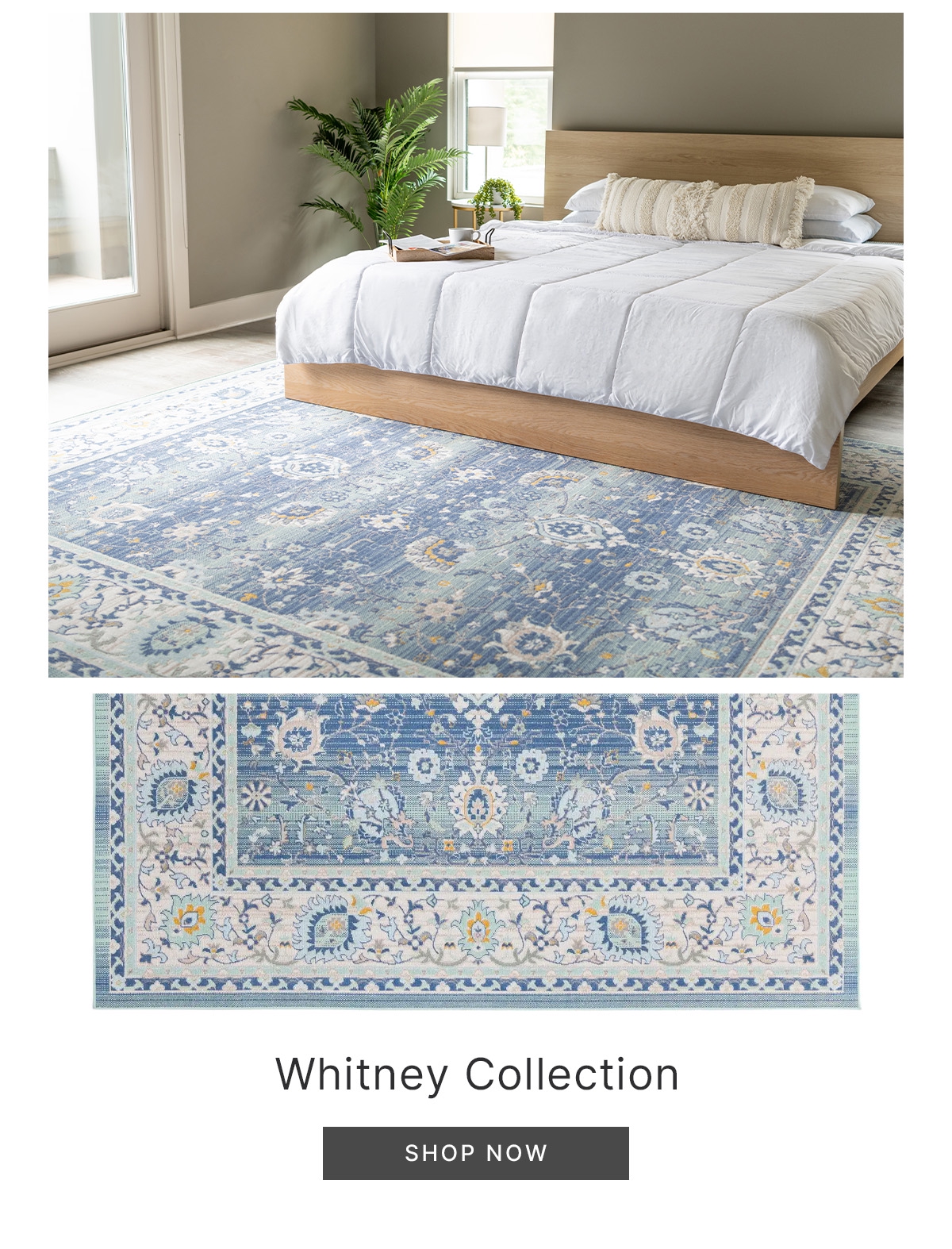 Whitney Collection