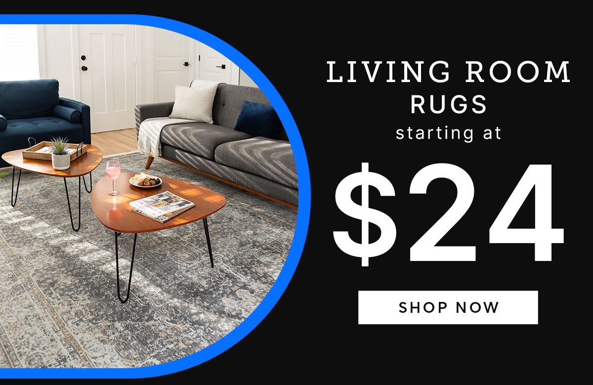 Living Room Rugs Starting at $24
