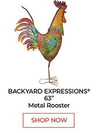 Backyard Expressions® 63" Metal Rooster - Shop Now
