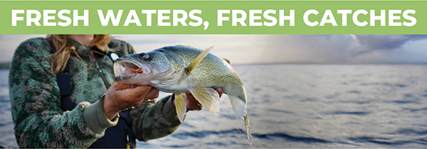 Fresh Waters, Fresh Catches