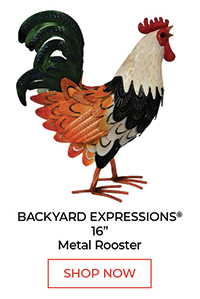 Backyard Expressions® 16" Metal Rooster - Shop Now