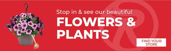 Stop In & See Our Beautiful Flowers & Plants - Find Your Store