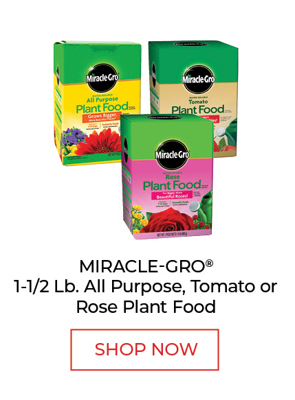 Miracle-Gro® 1.5 Lb All Purpose, Tomato or Rose Plant Food - Shop Now