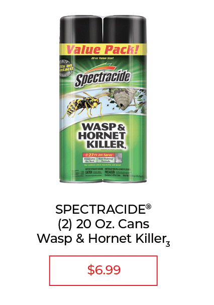 Spectracide Wasp & Hornet Killer Aerosol, 2-20 oz.