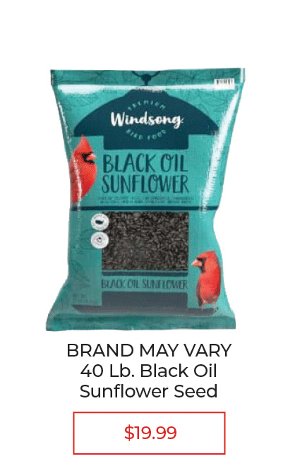 Black Oil Sunflower Seeds - 40Lb. - $19.99