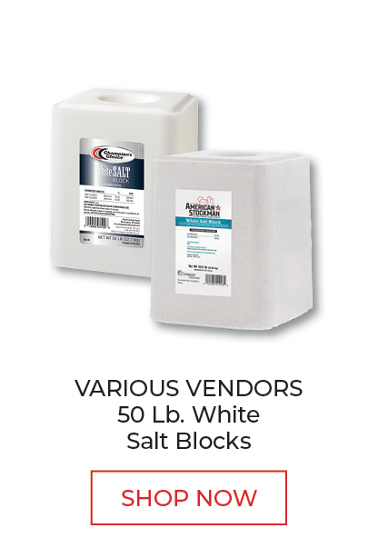 50 Lb. White Salt Blocks - Shop Now