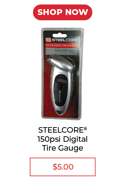 Steel Core Digital Tire Gauge, 150 PSI - SALE $5.00