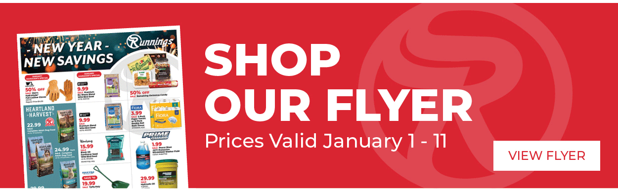 Shop Our Flyer Now Through January 11