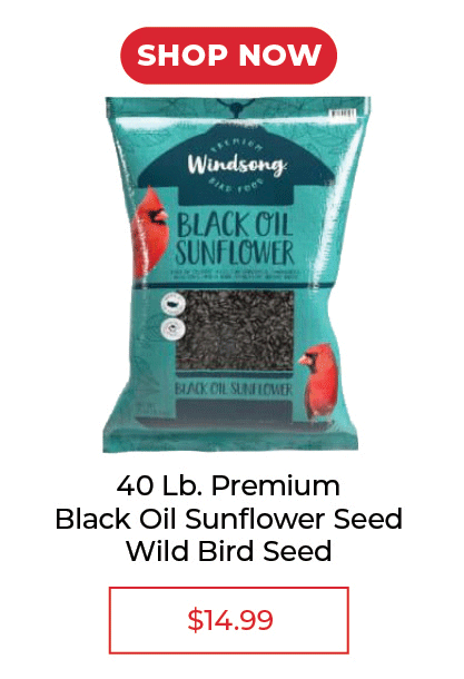 40 LB. Premium Black Oil Sunflower Seed Wild Bird Seed - SALE $14.99