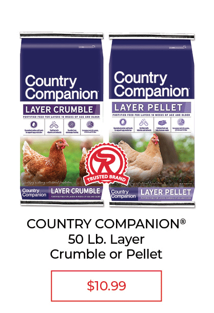 Country Companion Layer Crumbles or Pellet Poultry Feed, 50 lbs. - SALE $10.99