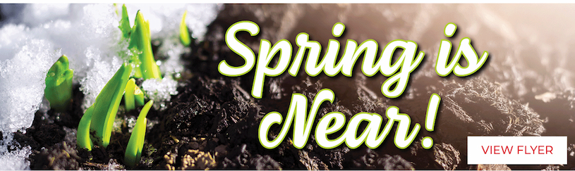 Spring is Near - View Flyer