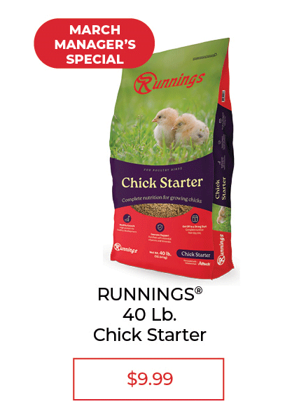 Runnings Chick Starter, 40 lb. - SALE $9.99