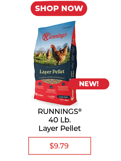 Runnings Layer Pellet, 40 lb. - SALE $9.79