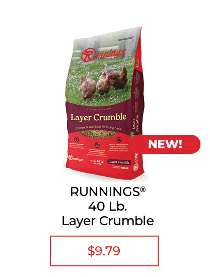 Runnings Poultry Layer Crumble, 40 lb. - SALE $9.79