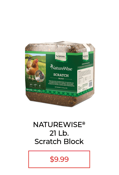 Naturewise 21 LB. Scratch Block - SALE $9.99